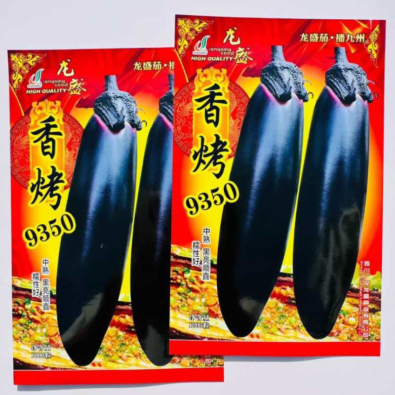 黑骑6号茄子种子杂交一代油黑长棒茄种子果肉淡绿长棒黑茄子种子