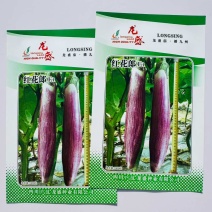 红花郎F1茄子种子龙盛种业杂交长紫花茄春秋季播种蔬菜种孑