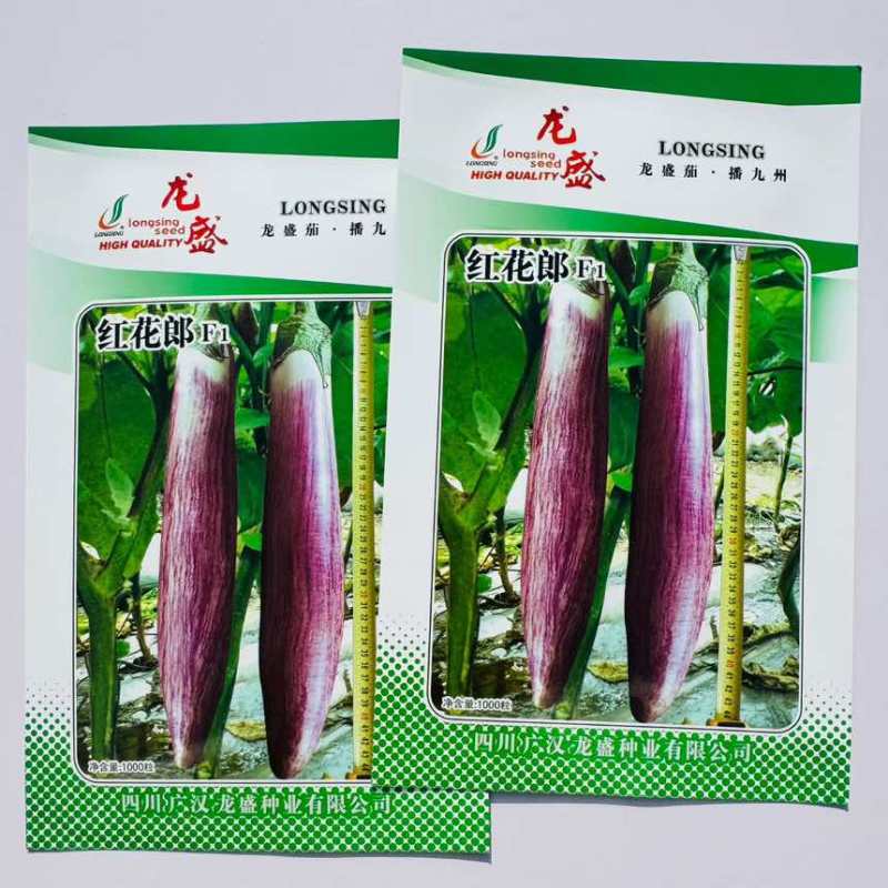 红花郎F1茄子种子龙盛种业杂交长紫花茄春秋季播种蔬菜种孑