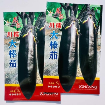 川糯大棒茄子种子早熟粗棒顺直油黑亮绿黑茄子种籽果肉淡绿烧烤茄