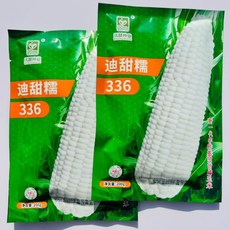迪甜糯336玉米种子矮杆早熟大棒鲜食非转基因白色甜加糯玉米种