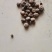 我有药材鲜货(元胡和半夏):有收购商吗？