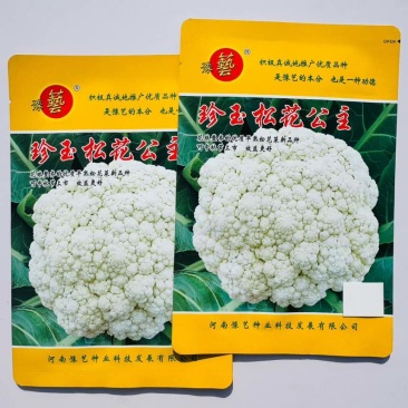 豫艺珍玉松花公主花菜种子早熟优质松花菜高产青梗花椰菜耐热好