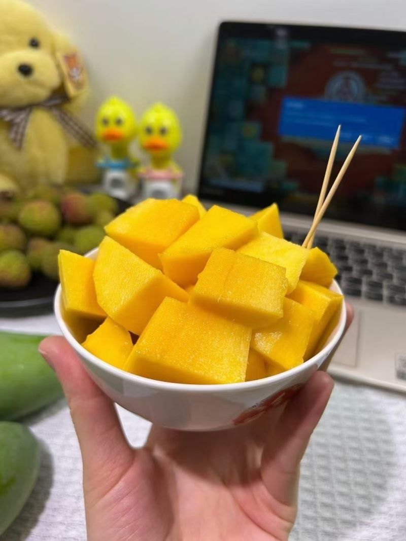 田东金煌芒