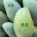 田东金煌芒