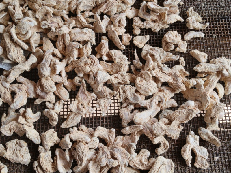 云南罗平本地小黄姜加工！！干姜片.干姜块！！颜色均匀！！量大