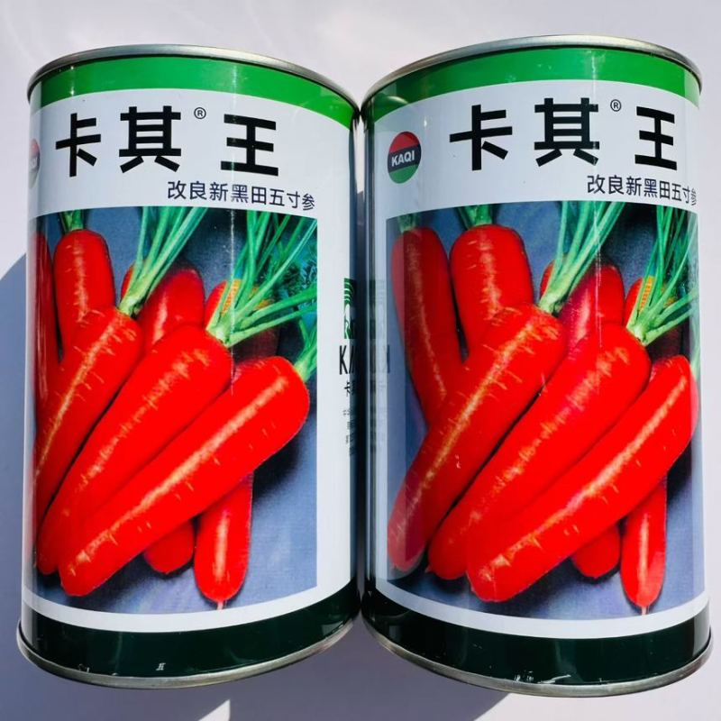 爱姆卜五寸参胡萝卜种子早熟脆甜小型生吃脆甜水果胡萝卜蔬菜种籽