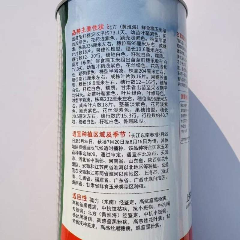 国审品种申科甜糯99加甜糯玉米种子早熟矮杆绿皮大棒口感软糯种