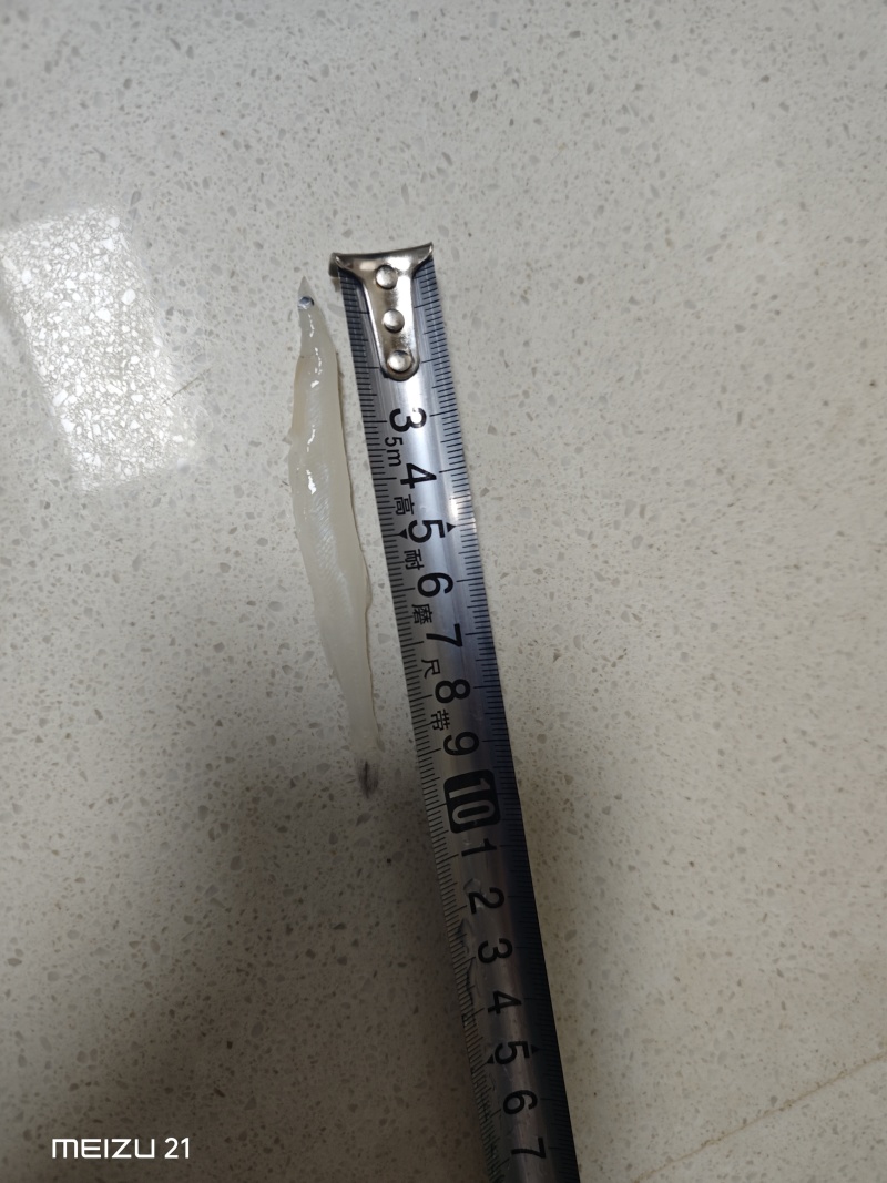 银鱼，大银鱼，价格可优惠
