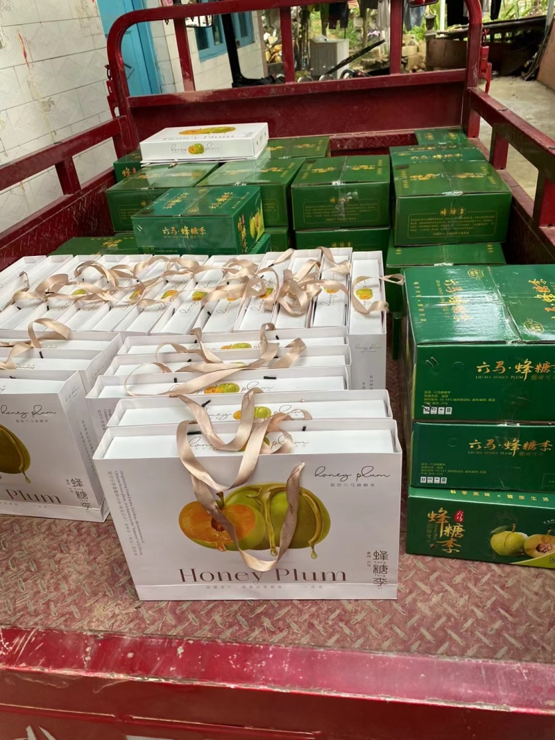 贵州六马蜂糖李