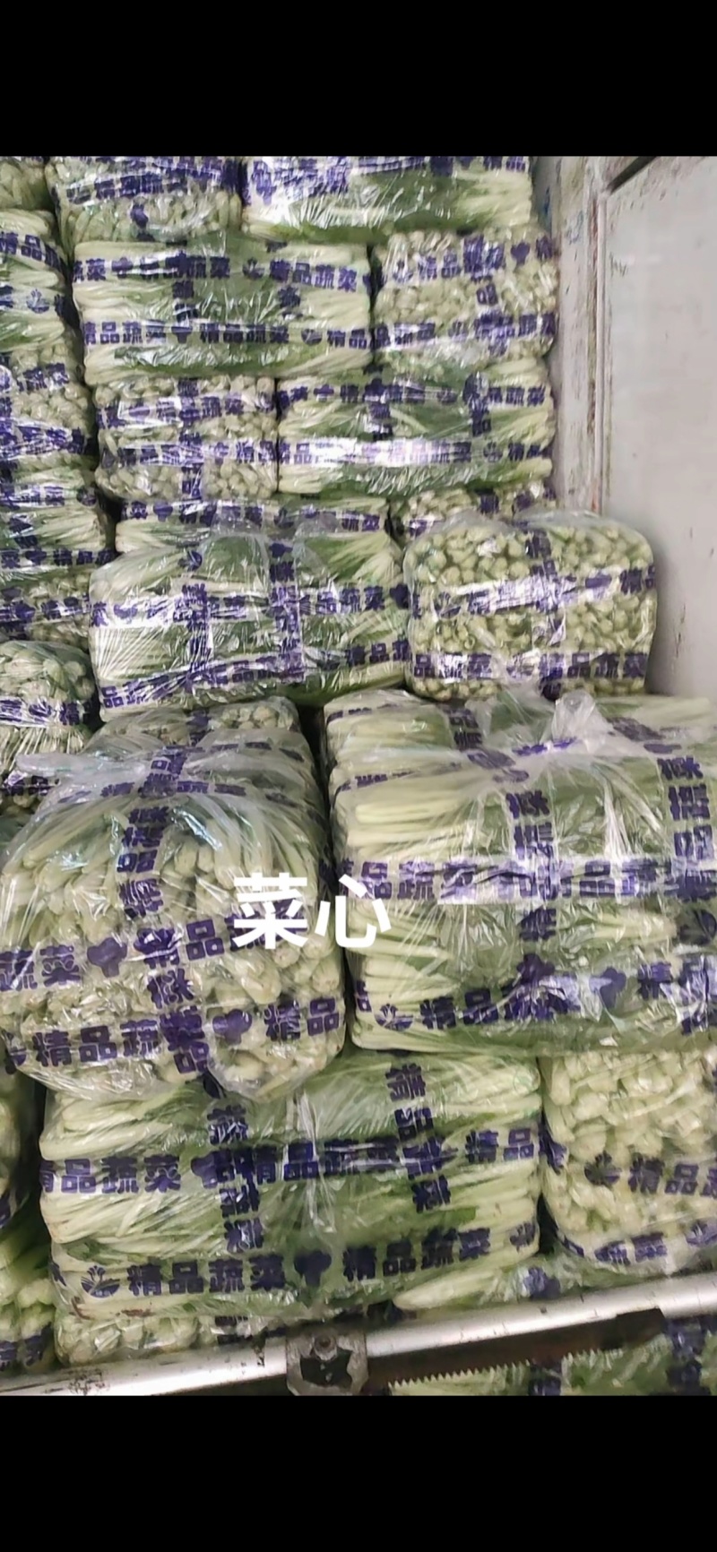 ｜主营：小油菜、各类绿叶菜，大小批量均可装车实地看菜，
