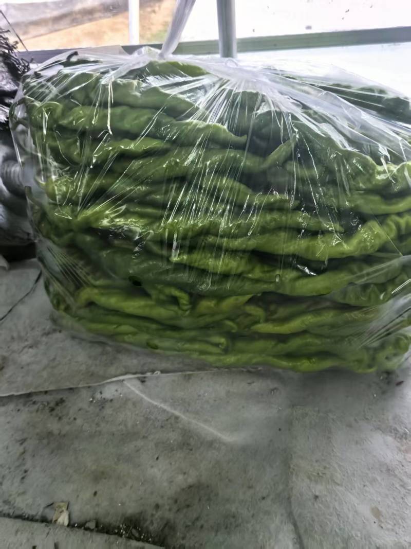 螺丝椒，二十公分以上，大量有货