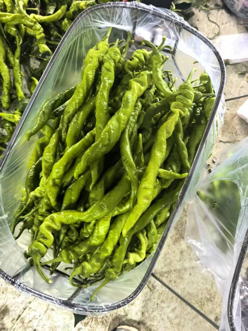 螺丝椒，二十公分以上，大量有货