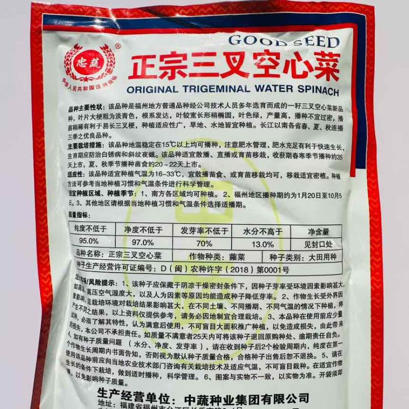正宗三叉空心菜种子中蔬青梗大叶三叉空心菜籽高产耐热耐湿基地