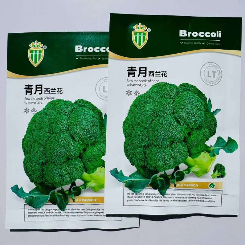 青月西兰花种子高产易种新款优质花菜种子四季可播种植优选青花菜