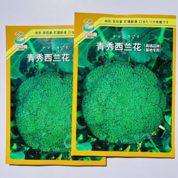 青秀西兰花种子杂交西蓝花种籽新品种抗病丰产基地专用春秋花椰菜