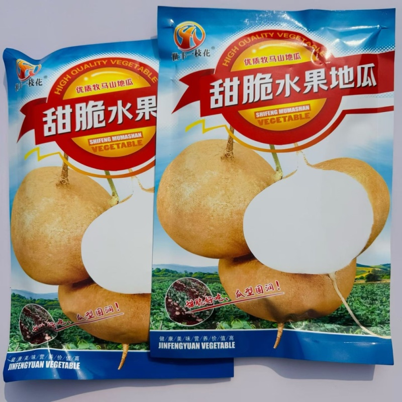 甜脆水果地瓜种子优质牧马山地瓜种籽香甜可口嫩脆化渣凉薯种籽