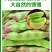 一点红油豆角一件代发产地直发
