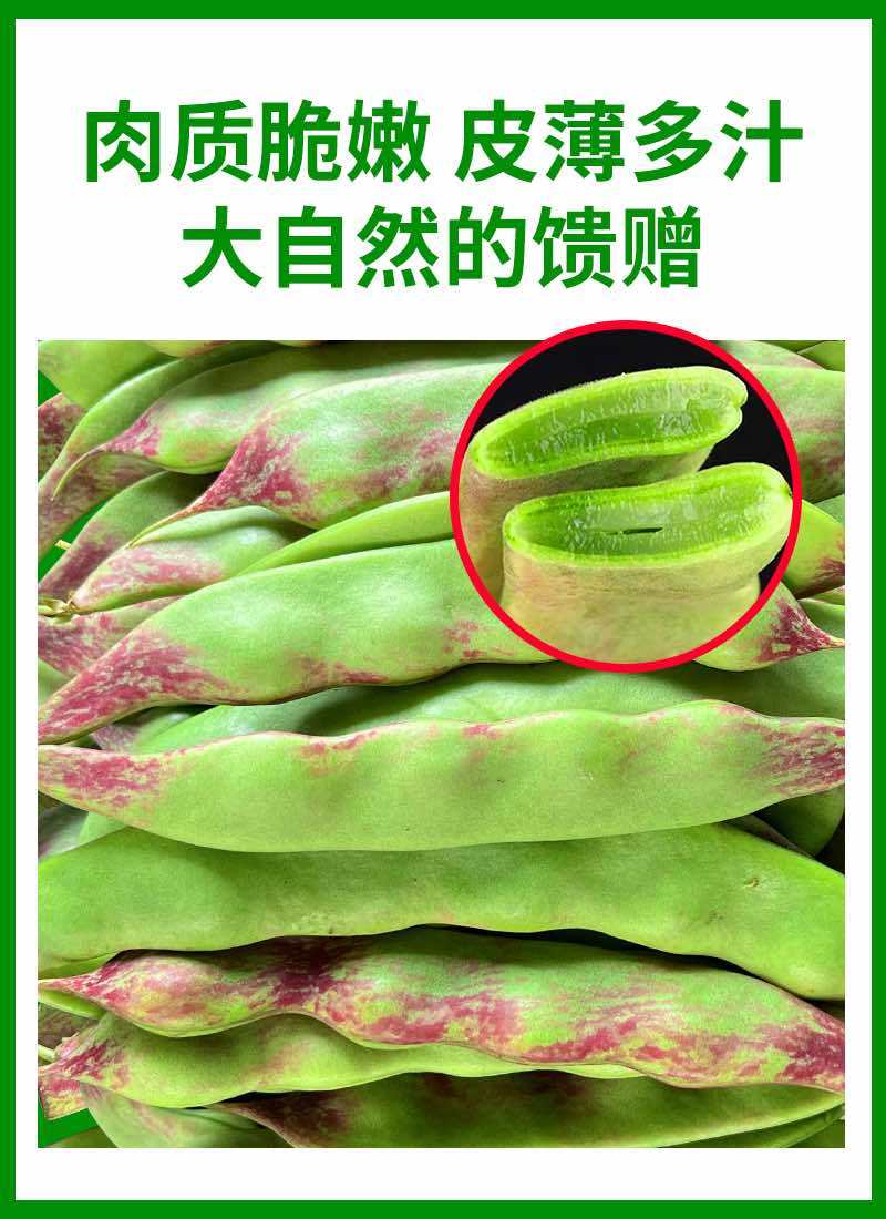 一点红油豆角一件代发产地直发