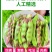 一点红油豆角一件代发产地直发