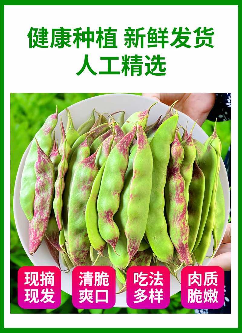 一点红油豆角一件代发产地直发
