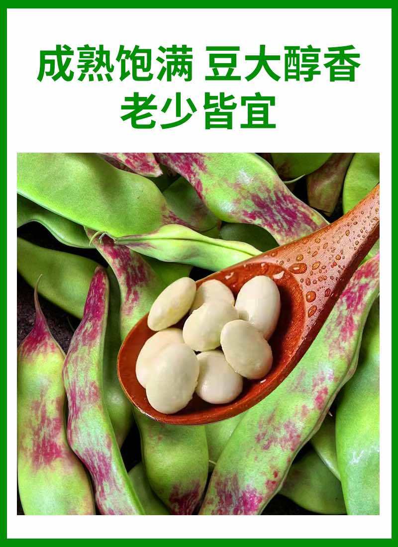一点红油豆角一件代发产地直发