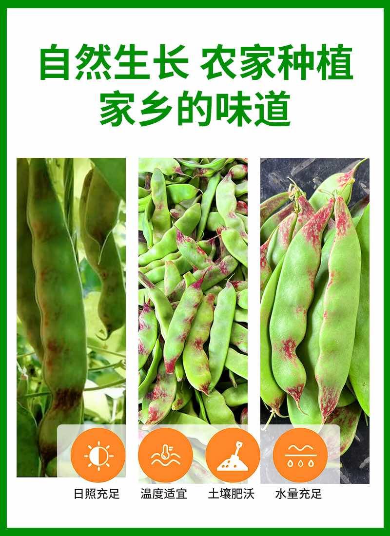一点红油豆角一件代发产地直发