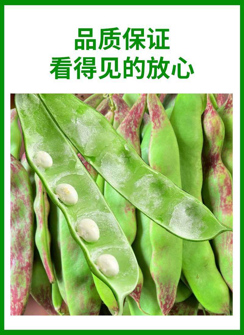 一点红油豆角一件代发产地直发