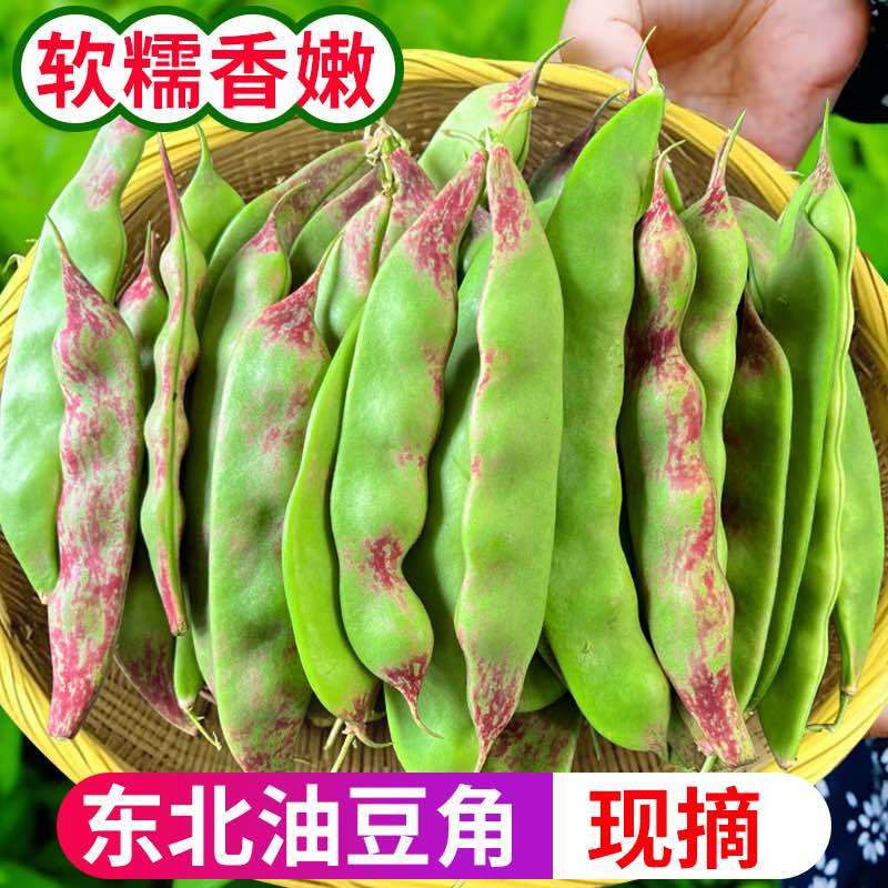 一点红油豆角一件代发产地直发