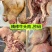 精品牛头肉优质牛头肉全熟牛嘴巴