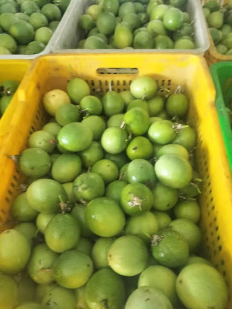 百香果