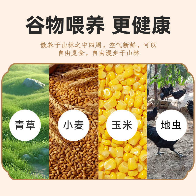 天柱新鲜土鸡蛋与绿壳乌鸡蛋正宗农家散养健康营养