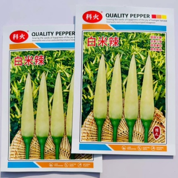 科火白米辣辣椒种子米黄色朝天椒特辣泡椒小米辣椒种籽浓辣蔬菜