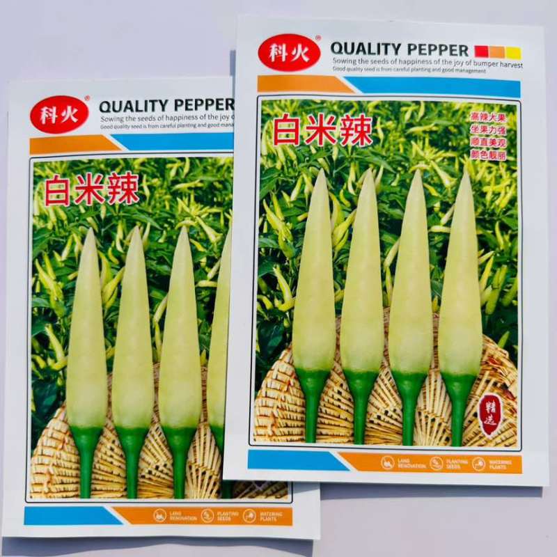 科火白米辣辣椒种子米黄色朝天椒特辣泡椒小米辣椒种籽浓辣蔬菜