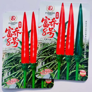 富乔8号朝天椒种子长把早熟高产抗病大田种植专用大果辣椒种籽