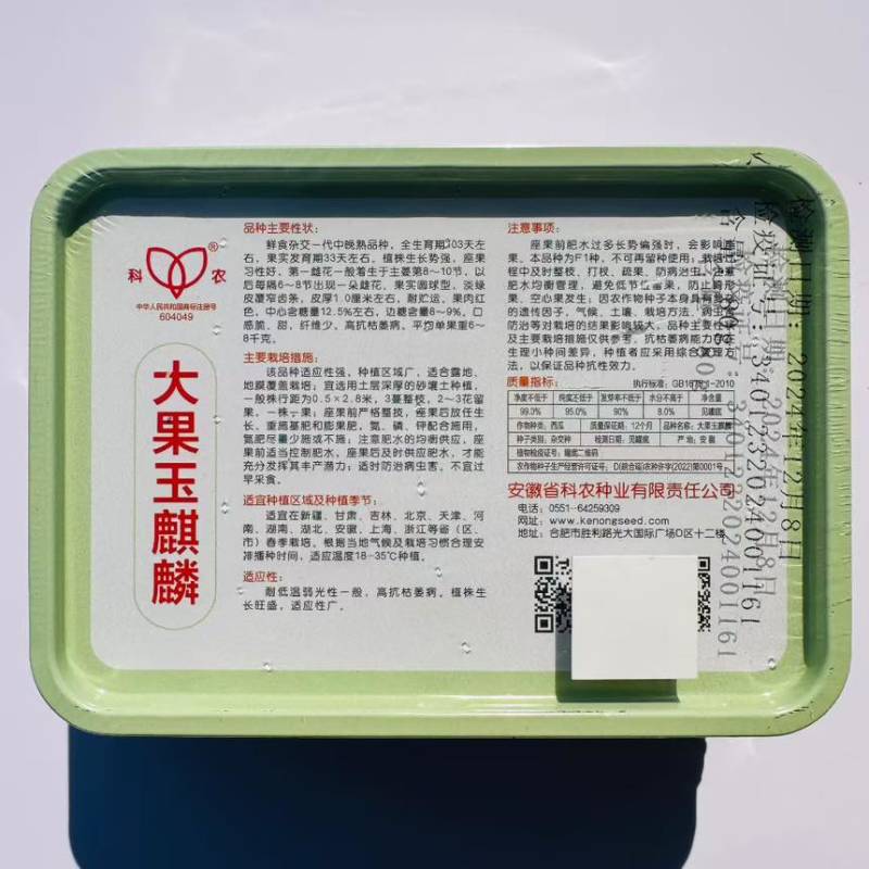 大果玉麒麟中晚熟适应性强薄皮口感脆纤维少正宗西瓜种子罐装正品