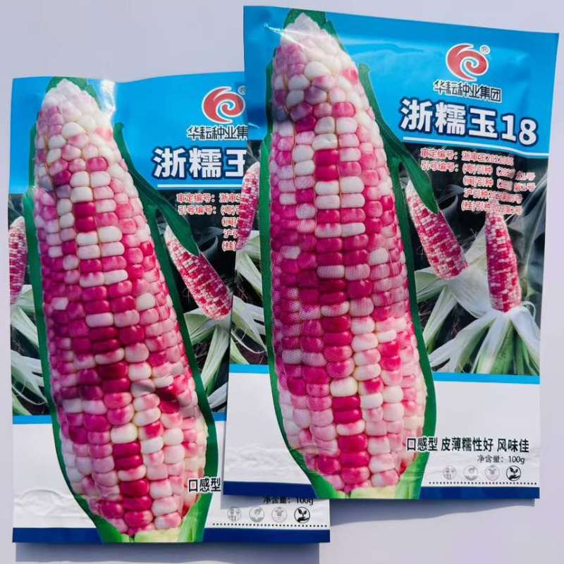 晓富浙糯玉18号玉米种子皮薄糯性好口感型花糯玉米种子香糯玉米