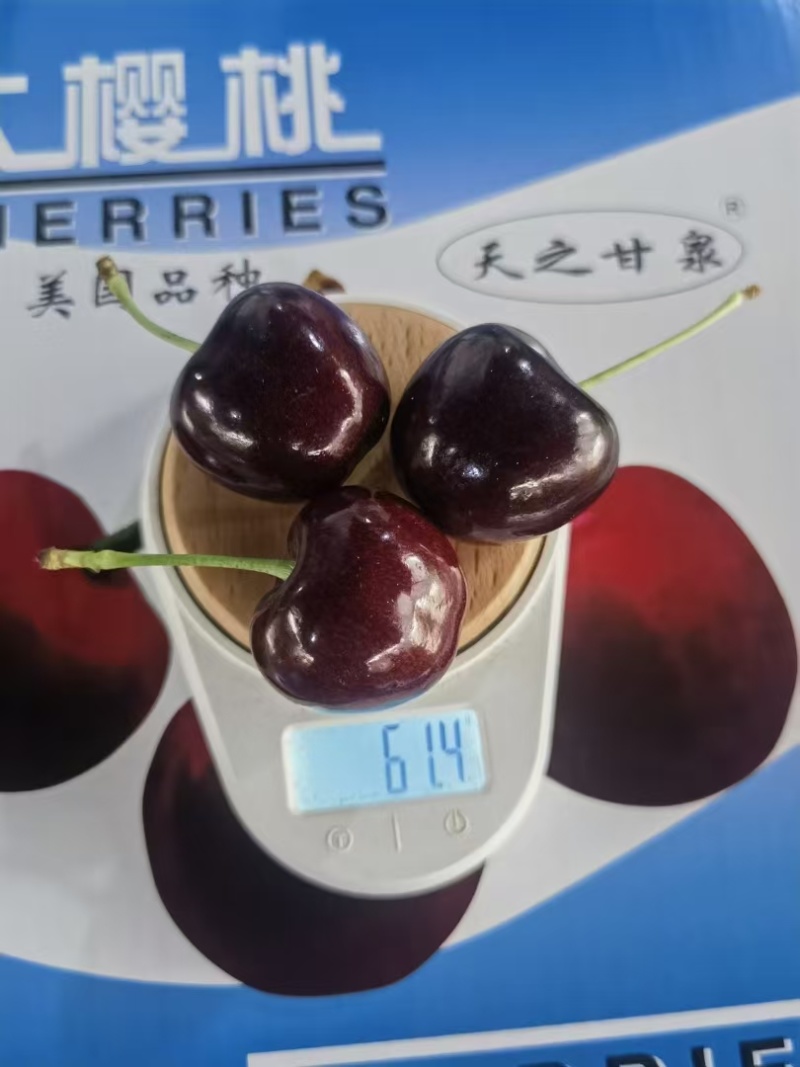 “天之甘泉”樱桃🍒/天水樱桃🍒/樱桃🍒小丸子/樱桃姐姐
