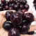 “天之甘泉”樱桃🍒/天水樱桃🍒/樱桃🍒小丸子/樱桃姐姐