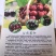 “天之甘泉”樱桃🍒/天水樱桃🍒/樱桃🍒小丸子/樱桃姐姐