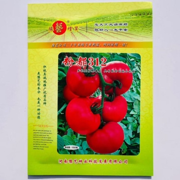 豫艺粉312粉红番茄种子无限生长抗病厚皮硬肉西红柿种抗病番茄