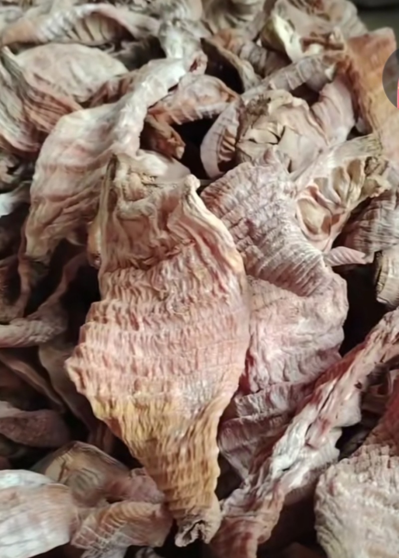 ***干笋
