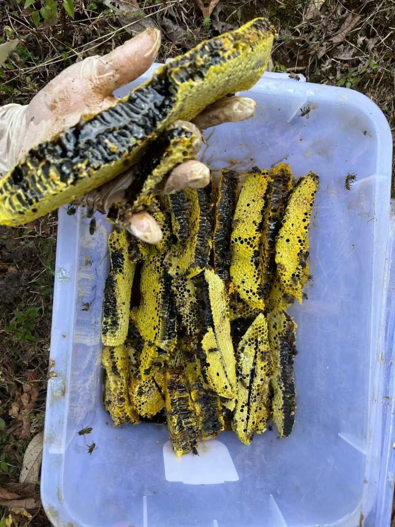 云南悬崖野生蜂蜜