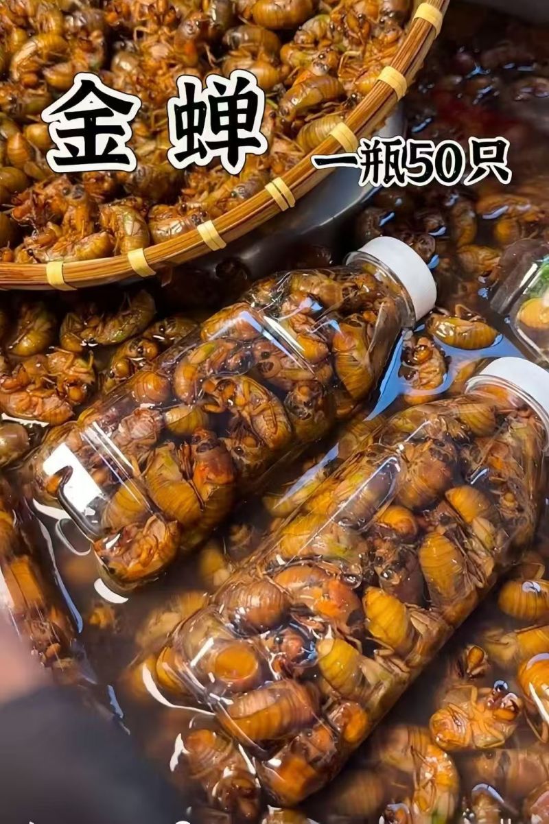 松蝉，杜仲，本地大金蝉，一件代发