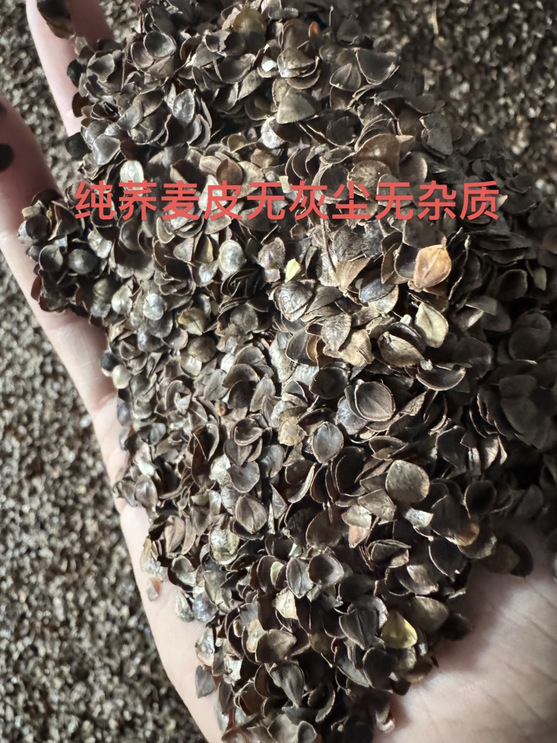 甜荞皮
