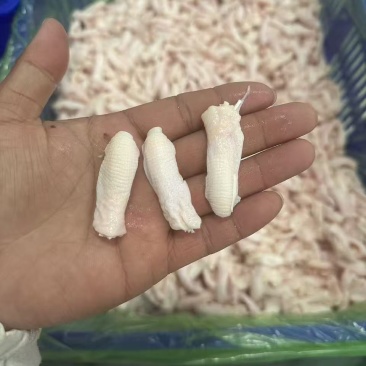鸭脚筋有货