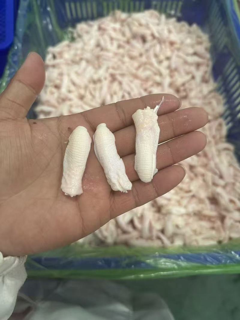 鸭脚筋有货