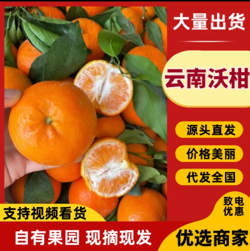 皮薄汁多，物美价廉