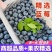 蓝莓