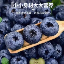 蓝莓
